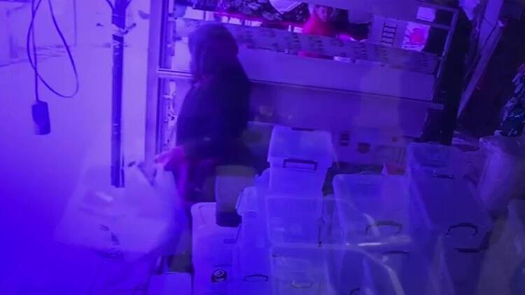 Yer: İstanbul! Müşteri kılığında girdi, terlik ve çöp kovası çaldı