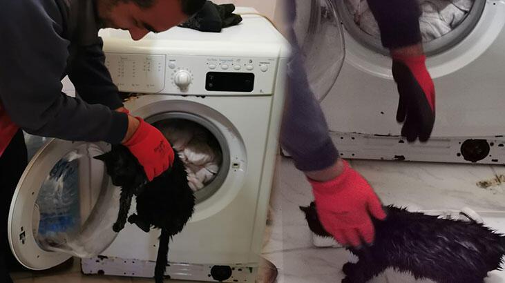 Yorgan arasında çamaşır makinesine konulan kediyi itfaiye kurtardı