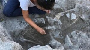 4 bin yaşında insan ve köpek iskeleti bulundu!