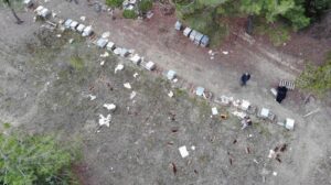 Ayını yaptığı uyanıklık adeta şapka çıkarttı! 57 kovanı parçaladı