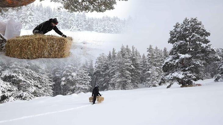 Bakan Pakdemirli, hayvanlar için doğaya yiyecek bıraktı