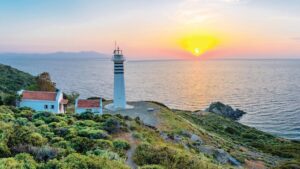 Festival bahane, çiçek kokuları şahane