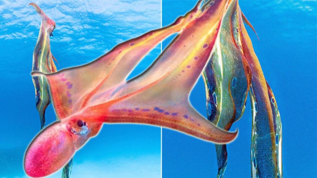 Kameraya böyle yakalandı: Güzelliği göreni büyüledi!