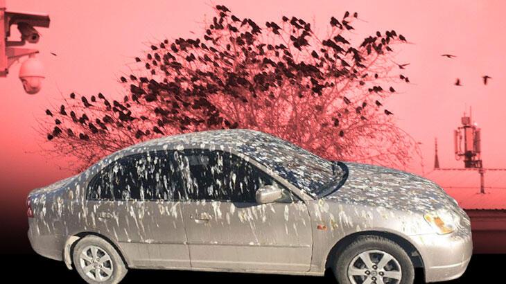 Kargaların istilası otomobili bu hale getirdi