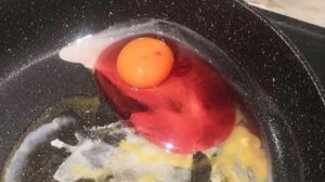 Kırdığı yumurtanın akı ‘kırmızı’ çıktı, sosyal medya karıştı! Sandığınız gibi değil…
