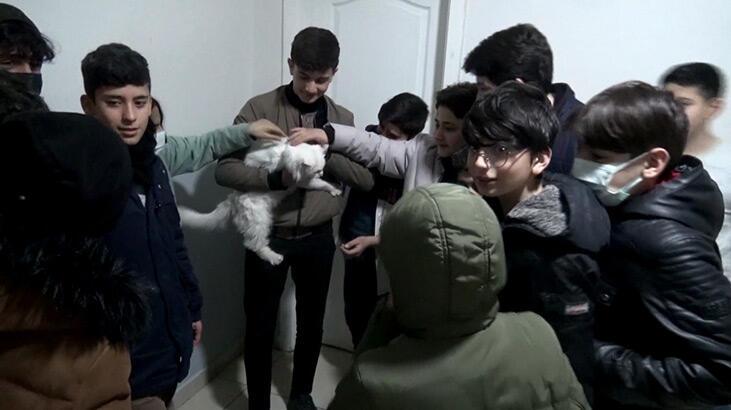 Köpeklerin yaraladığı sokak kedisine öğrenciler sahip çıktı