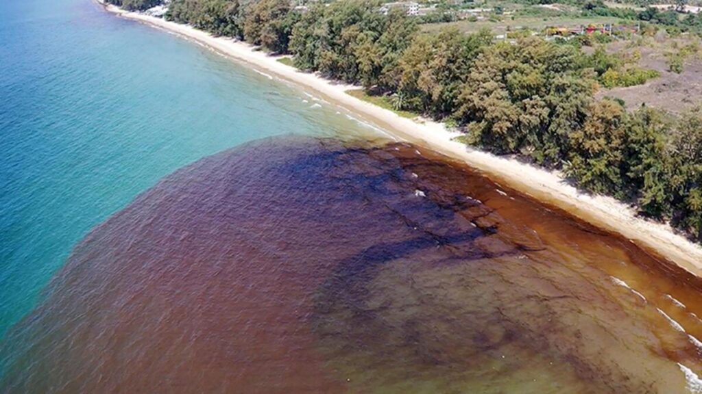 Tayland’da petrol sızıntısı nedeniyle bir plaj afet bölgesi ilan edildi