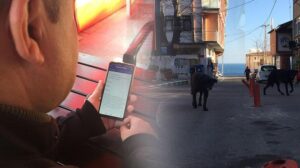 Topluca bırakılan köpekler köylülerin korkulu rüyası haline geldi