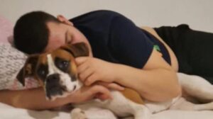 Üsküdar’da silahlı dehşet! Pitbull zannettiği köpeğe kurşun yağdırdı