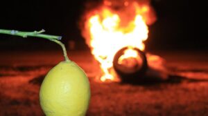 Zirai don nöbeti başladı! 10 gün boyunca devam edecekler