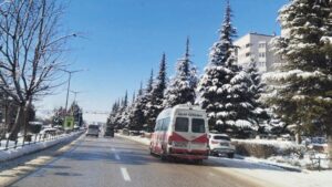 Karlar altında bir vaha