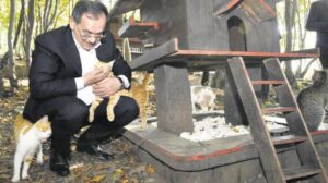 Yemek atıklarından can dostlara mama