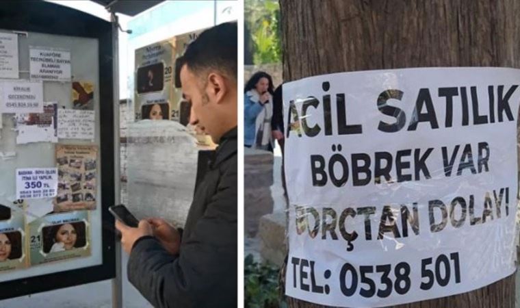 Aramalarda dikkat çeken artış: ‘Böbrek’ ilanları trendlerde