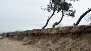 Büyük panik! Karadeniz, bu ilçeyi parça parça yutuyor