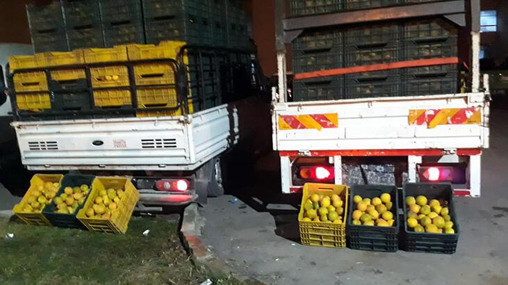 Çaldıkları 4 ton portakalı 11 bin liraya satmışlar