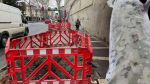 Çırağan Caddesi’nde kesilen 112 ağaç için İBB’ye ceza verildi