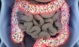 Dışkı testi ile pankreas kanserinin erken teşhisi mümkün olacak mı?