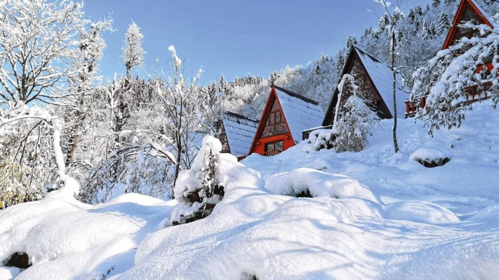 Fırtına Vadisi’nin en güzel dağ evleri