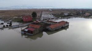 Kızılırmak Deltası’ndaki mahallede ‘taşkın’ korkusu