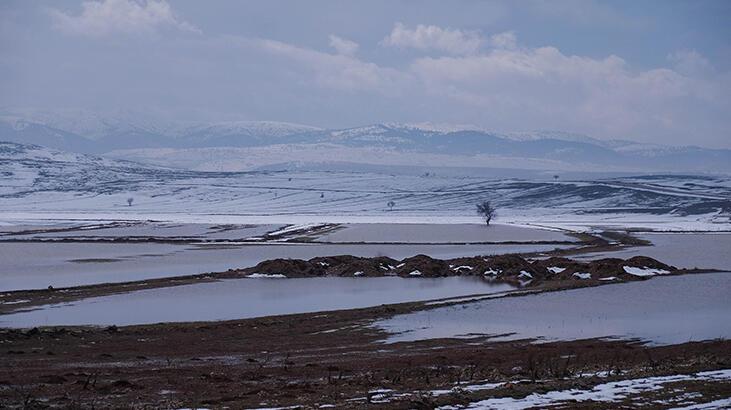 Kuraklık sıkıntısı çeken Konya Ovası’nı su bastı