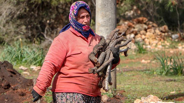 Mangal kömürünün ‘zahmetli’ yolculuğu