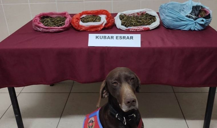 ‘Manken’ otomobildeki esrarı buldu: 4 gözaltı