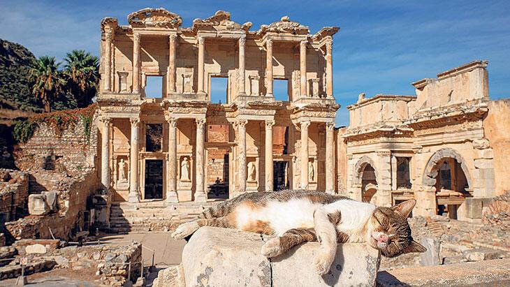 Tarih ve edebiyatın sevimli özneleri: Tanrı kedilerden merhum pisiye
