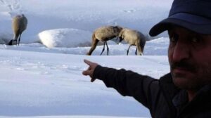 Turnalar 30 yıl aradan sonra Yüksekova’ya yeniden geldi