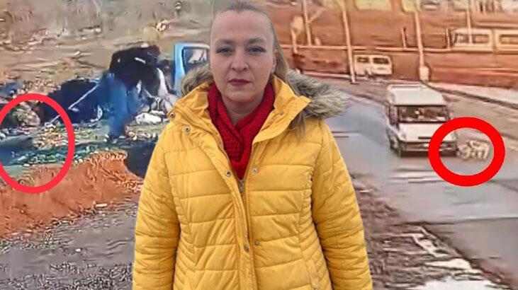 Yaralı köpeğe akılalmaz muamele! Önce minibüs çarptı, sonra belediye personeli yerde sürükledi