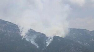 Alanya’daki orman yangını kontrol altında