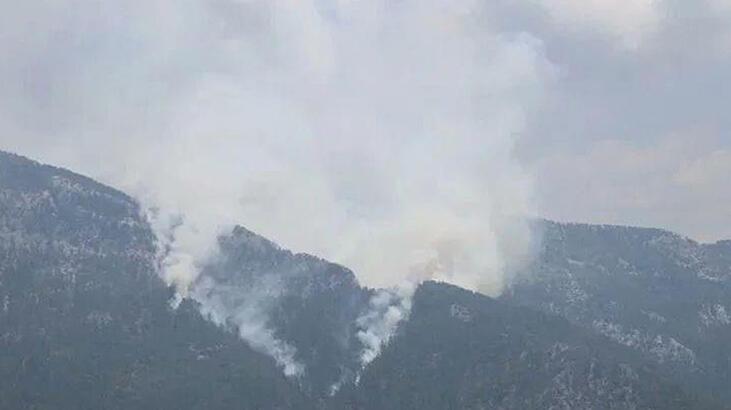 Alanya’daki orman yangını kontrol altında
