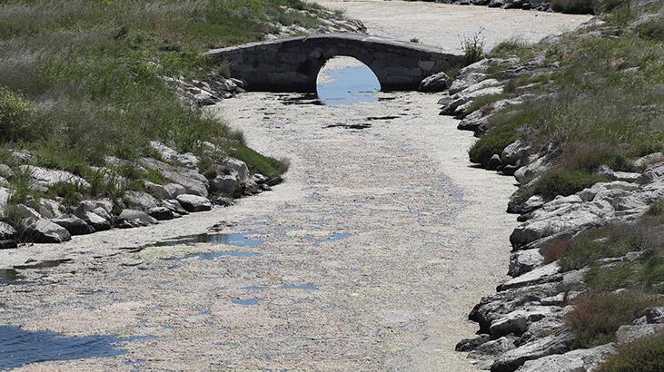 Büyükçekmece Gölü’nü saran yosun tabakası sonrası uyarı geldi