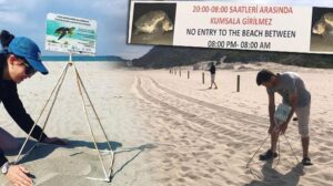 Caretta caretta yasağı! 3 sahile gece girmenin cezası 109 bin TL