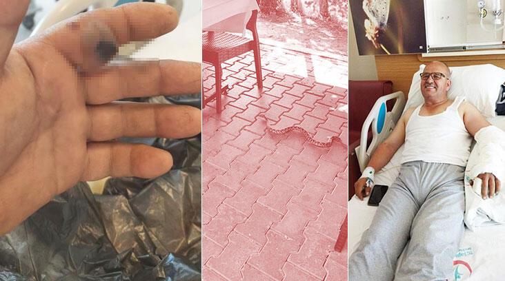 Elini sokan yılanı poşete koyup hastaneye götürdü! “Bu karar hayatımı kurtardı”