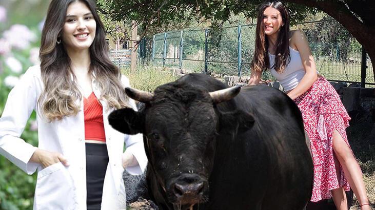 Fizyoterapist Sedef’in boğa sevdası, kariyerinin önüne geçti!
