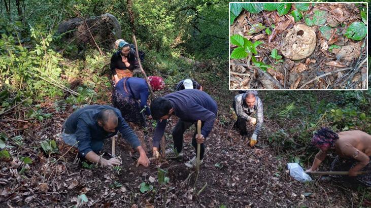 Gümüşhane’de ormanda insan kafatası ve kemikleri bulundu