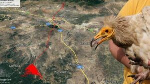 İlk veriler geldi! 10 günde 500 kilometre