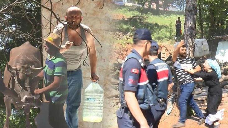 İnekli protestocunun kaçak ahırının yıkımında ortalık karıştı