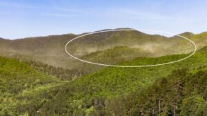 Kazdağları’nda polen fırtınası!