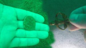 Nefesler tutuldu! Akçakale Kalesi’nin kalıntıları deniz altından çıkıyor