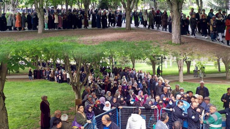 Organik domates fidesi almak için metrelerce kuyruk oluşturdular