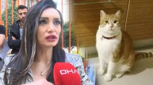 Şoke eden olay! Komşusuna ait kediyi önce ev sonra boş araziye bıraktı