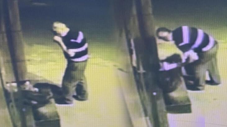 Tadına baktığı çileği kasasıyla birlikte çaldı! ‘Faturasını bize bırakmış’