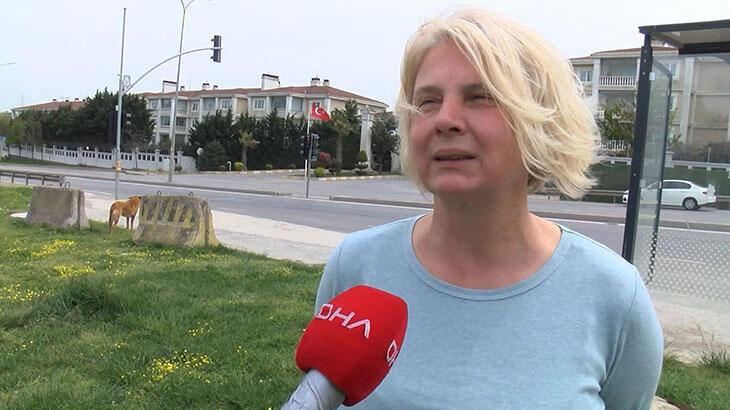 Tuzla’da sitede sokak köpeğine vuran güvenlik görevlisi gözaltına alındı