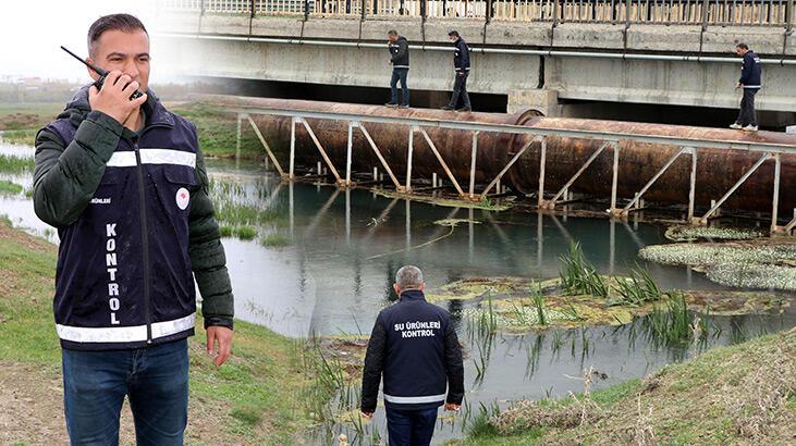 Van Gölü’nde inci kefali nöbeti! Gece gündüz takipteler
