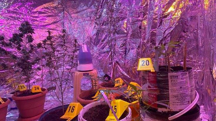 Yer: İstanbul! Uyuşturucu serasına çevrilen eve operasyon