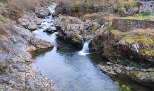 Çevreci Avukat Remzi Kazmaz’dan ‘Görele’ uyarısı: Durdurulmazsa dere kanalizasyona döner