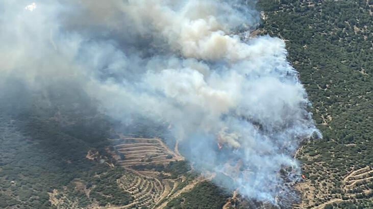 İzmir’de iki orman yangını! Müdahale sürüyor