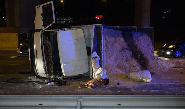 Talaş yüklü kamyonet virajı alamayarak devrildi: 2 yaralı