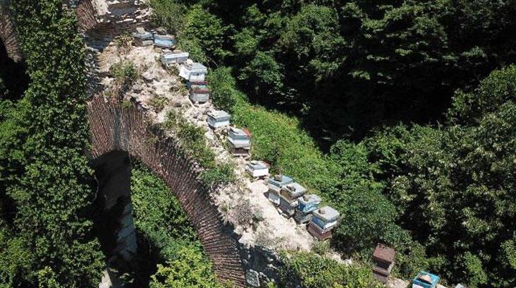 Tarihi su kemerini tahrip edip, üzerine kovanları koydular